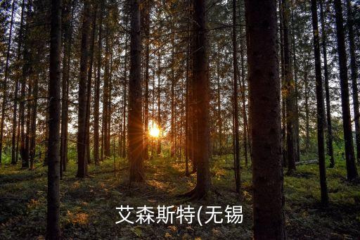 無錫自動化電氣設備,無錫暉瑞自動化設備有限公司怎么樣?