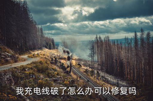 充電數(shù)據(jù)線斷了怎么辦,電腦充電線斷了怎么辦?小心觸電!