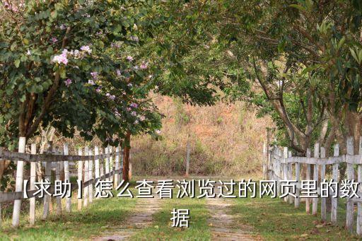瀏覽數(shù)據(jù) 能拿到嗎,怎么把瀏覽器里的數(shù)據(jù)導(dǎo)出?