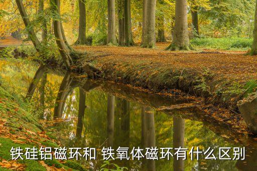 陜西鐵氧體排胚自動化設(shè)備