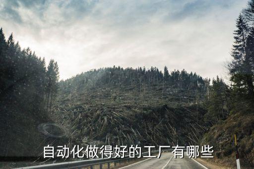  自動化做得好的工廠有哪些