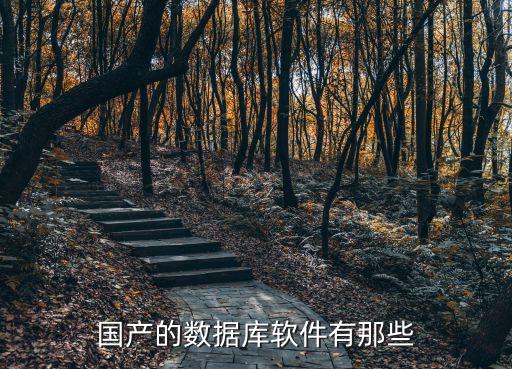國產(chǎn)的數(shù)據(jù)庫軟件有那些