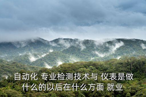 自動化儀表專業(yè)就業(yè)方向,工業(yè)自動化儀表技術(shù)升本方向