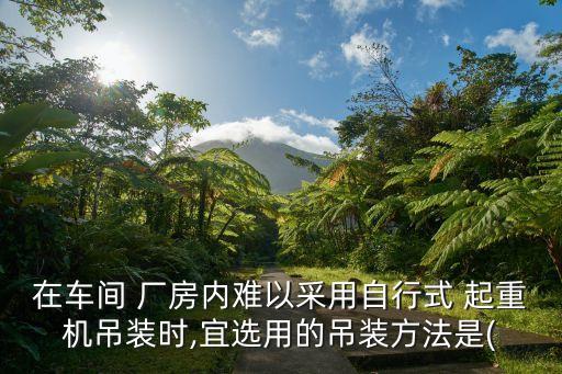 自動(dòng)化廠(chǎng)房起重機(jī)設(shè)備,廠(chǎng)房自動(dòng)化設(shè)備是做什么的