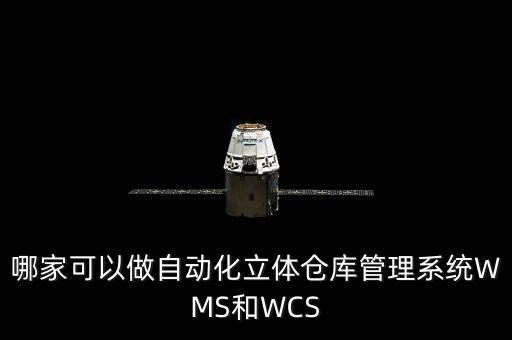 哪家可以做自動(dòng)化立體倉(cāng)庫(kù)管理系統(tǒng)WMS和WCS