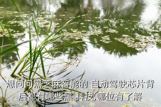 自動畫黑科技怎么做,科技動畫怎么制作