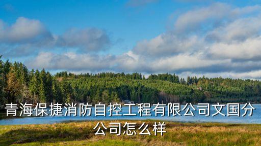 青海保捷消防自控工程有限公司文國(guó)分公司怎么樣
