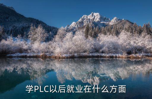 學(xué)PLC以后就業(yè)在什么方面