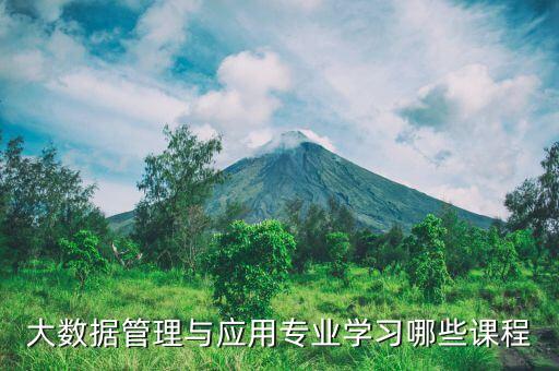 大數據自動化專業(yè)的課程,大數據專業(yè)課程設置有哪些?