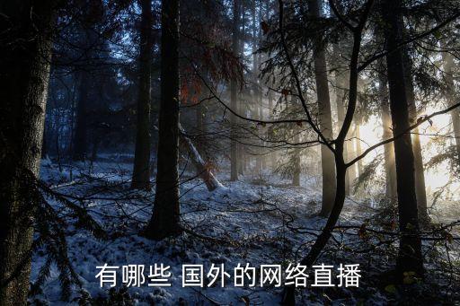 有哪些 國外的網(wǎng)絡(luò)直播