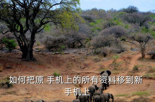 從安卓手機(jī)轉(zhuǎn)移數(shù)據(jù),蘋果14怎么從安卓手機(jī)轉(zhuǎn)移數(shù)據(jù)