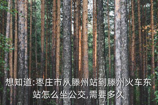 棗莊嘉譽自動化設備,滕州嘉譽一條街在哪個位置?