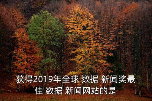 獲得2019年全球 數(shù)據(jù) 新聞獎最佳 數(shù)據(jù) 新聞網(wǎng)站的是