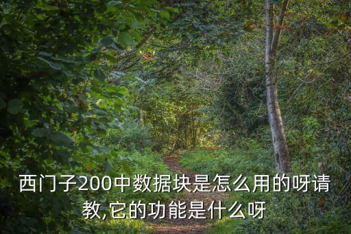 塊數(shù)據(jù) 條數(shù)據(jù),如何在瀏覽條上數(shù)據(jù)塊按鈕添加數(shù)據(jù)標(biāo)簽?