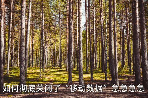 700M流量數(shù)據(jù)卡如何關(guān)閉,移動(dòng)如何關(guān)閉手機(jī)數(shù)據(jù)流量?