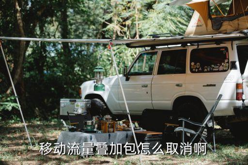移動(dòng)流量疊加包怎么取消啊