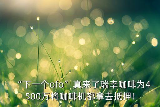 ofo銷量數據圖,ofo的勝利計劃