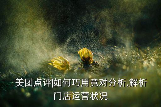 美團(tuán)2017年銷(xiāo)售數(shù)據(jù)