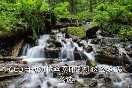 CCD自動對位絲網(wǎng)印刷機這么多,怎么選