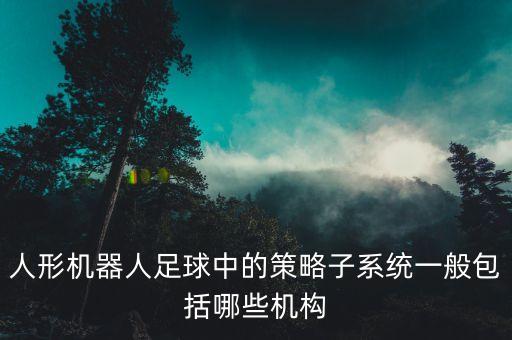 人形機器人足球中的策略子系統(tǒng)一般包括哪些機構