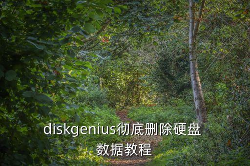 清除磁盤數(shù)據(jù),diskgenius清除磁盤數(shù)據(jù)