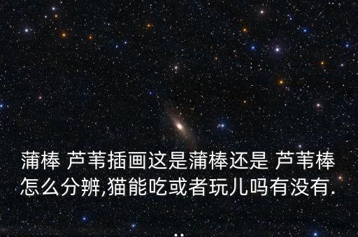 自動化蘆葦蠟燭設(shè)備