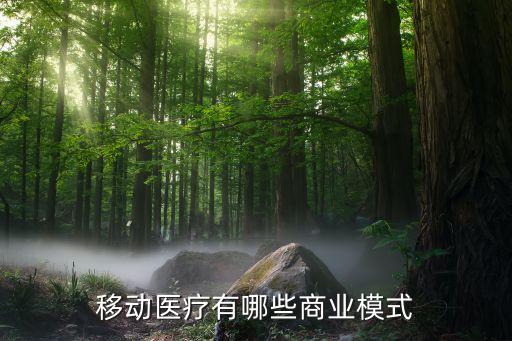 健康數據企業(yè),數字健康大數據有哪些!