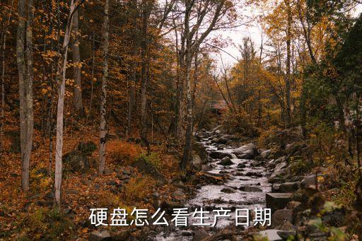 硬盤(pán)怎么看生產(chǎn)日期