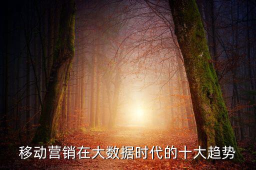 百度地圖 數(shù)據(jù)挖掘,移動(dòng)營(yíng)銷在大數(shù)據(jù)時(shí)代十大趨勢(shì)