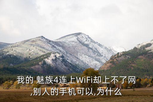 魅族4無(wú)線數(shù)據(jù)怎么老是掉線卡