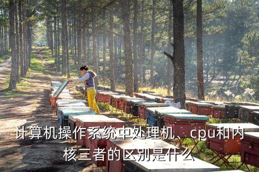 計(jì)算機(jī)操作系統(tǒng)中處理機(jī)、cpu和內(nèi)核三者的區(qū)別是什么