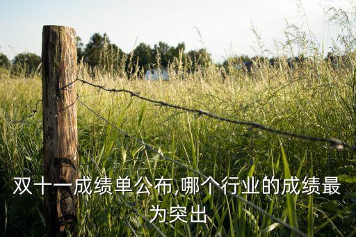 雙十一往年數(shù)據(jù),今年雙十一具有劃時(shí)代意義的一年