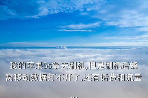 蘋(píng)果5s數(shù)據(jù)不能用怎么辦,蘋(píng)果5s移動(dòng)數(shù)據(jù)不能用怎么辦?