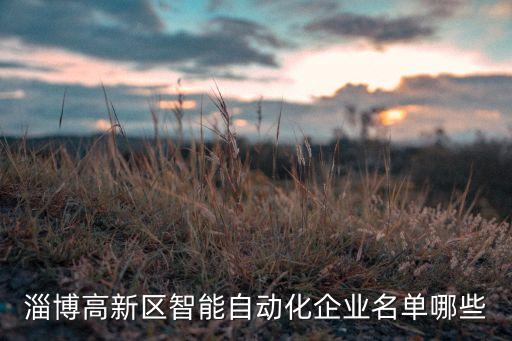 淄博高新區(qū)智能自動(dòng)化企業(yè)名單哪些