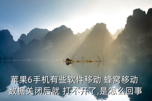 蜂窩數(shù)據(jù)打不開(kāi)app