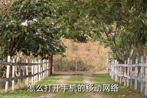 怎樣激活移動數據網,移動數據網顯示LTE什么意思