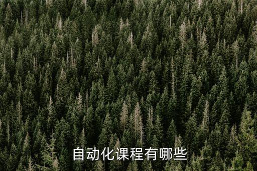 自動(dòng)化課程有哪些