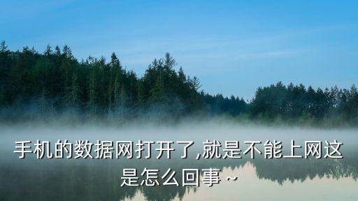 我的手機oppo用wlan能夠看電視而用數(shù)據(jù)流量不能看