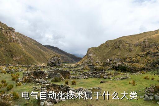 電氣自動化所電子類嗎,電氣自動化屬于電氣類嗎?不屬于?