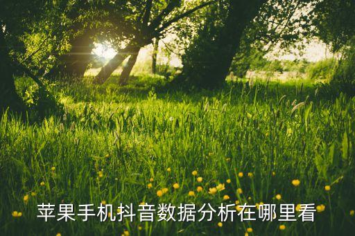抖音剛出現(xiàn)時使用者數(shù)據(jù),如何查看抖音賬號數(shù)據(jù)?