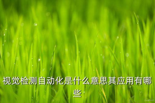 視覺檢測(cè)自動(dòng)化是什么意思其應(yīng)用有哪些