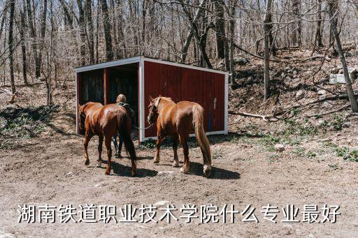 電氣自動(dòng)化教師培訓(xùn)
