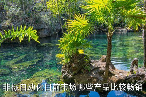 非標自動化目前市場哪些產(chǎn)品比較暢銷