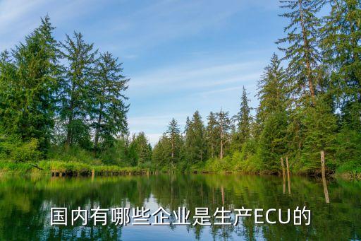 國內(nèi)有哪些企業(yè)是生產(chǎn)ECU的