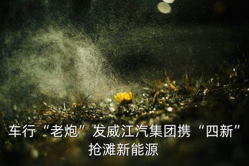 車行“老炮”發(fā)威江汽集團攜“四新”搶灘新能源