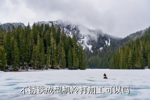 無錫自動化冷鐓機(jī)設(shè)備,無錫天奇自動化設(shè)備有限公司