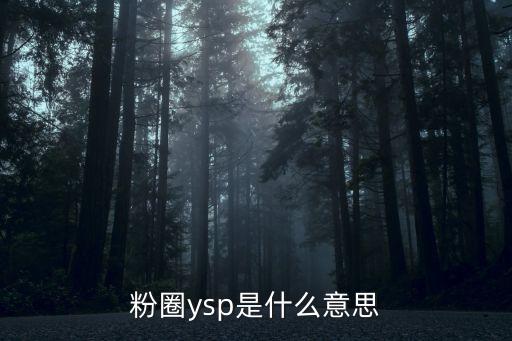 粉圈ysp是什么意思