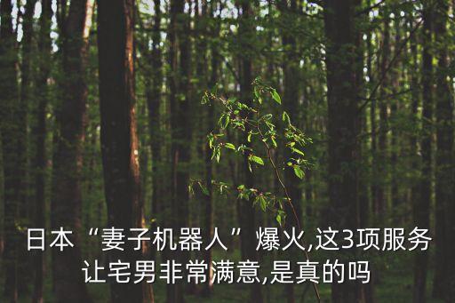 機(jī)器人學(xué)校前臺(tái),小胖機(jī)器人家族成員有哪些?