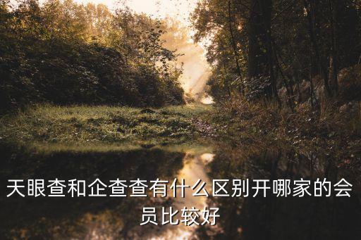 天眼查和企查查有什么區(qū)別開(kāi)哪家的會(huì)員比較好