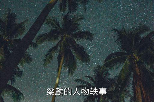 機器人吉尼斯世界紀錄,博佳機器人吉尼斯世界紀錄
